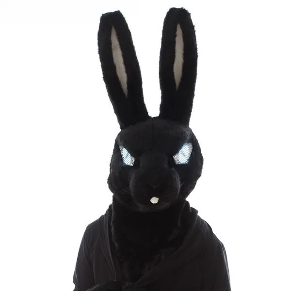 Bunny Tunes